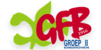 GFB2 Logo