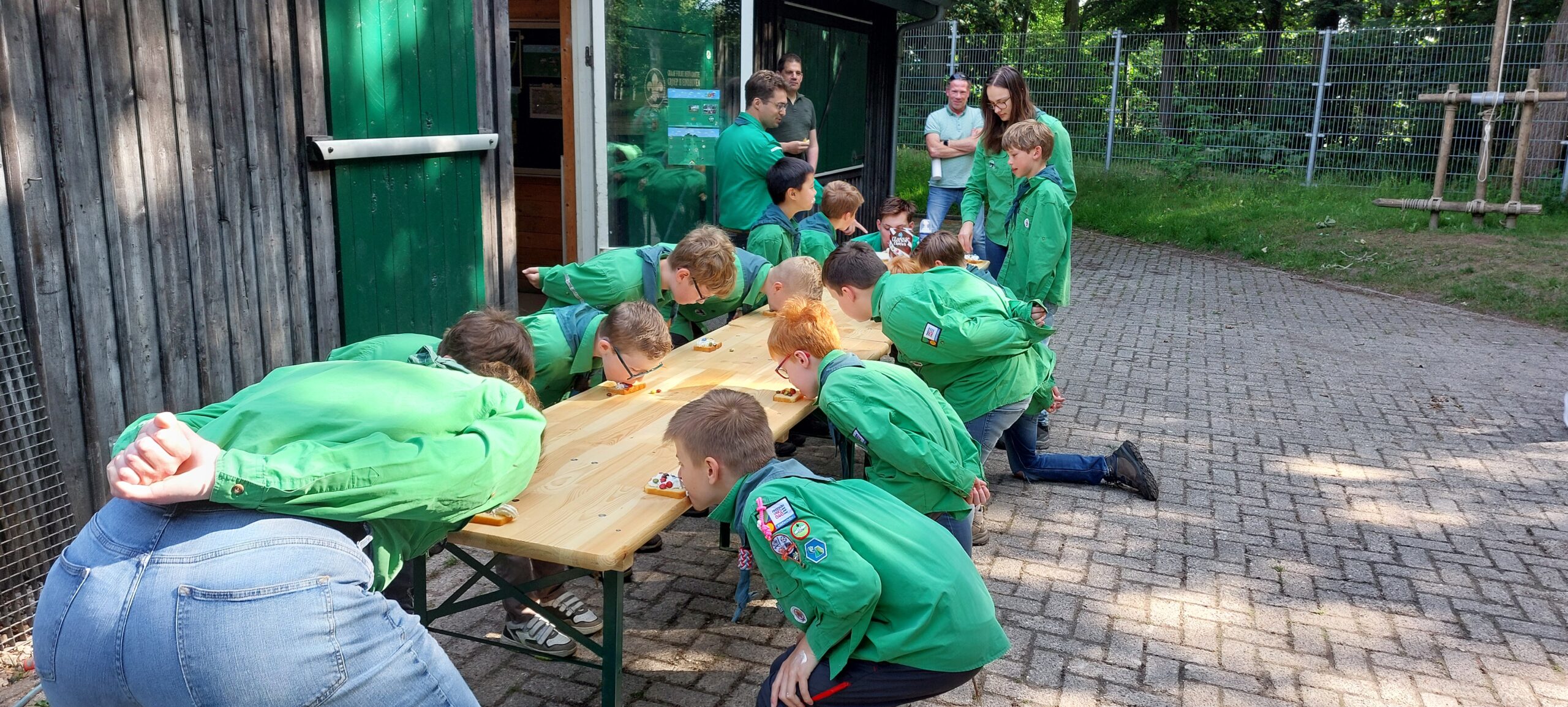 Welcoming Our New Cubs!
