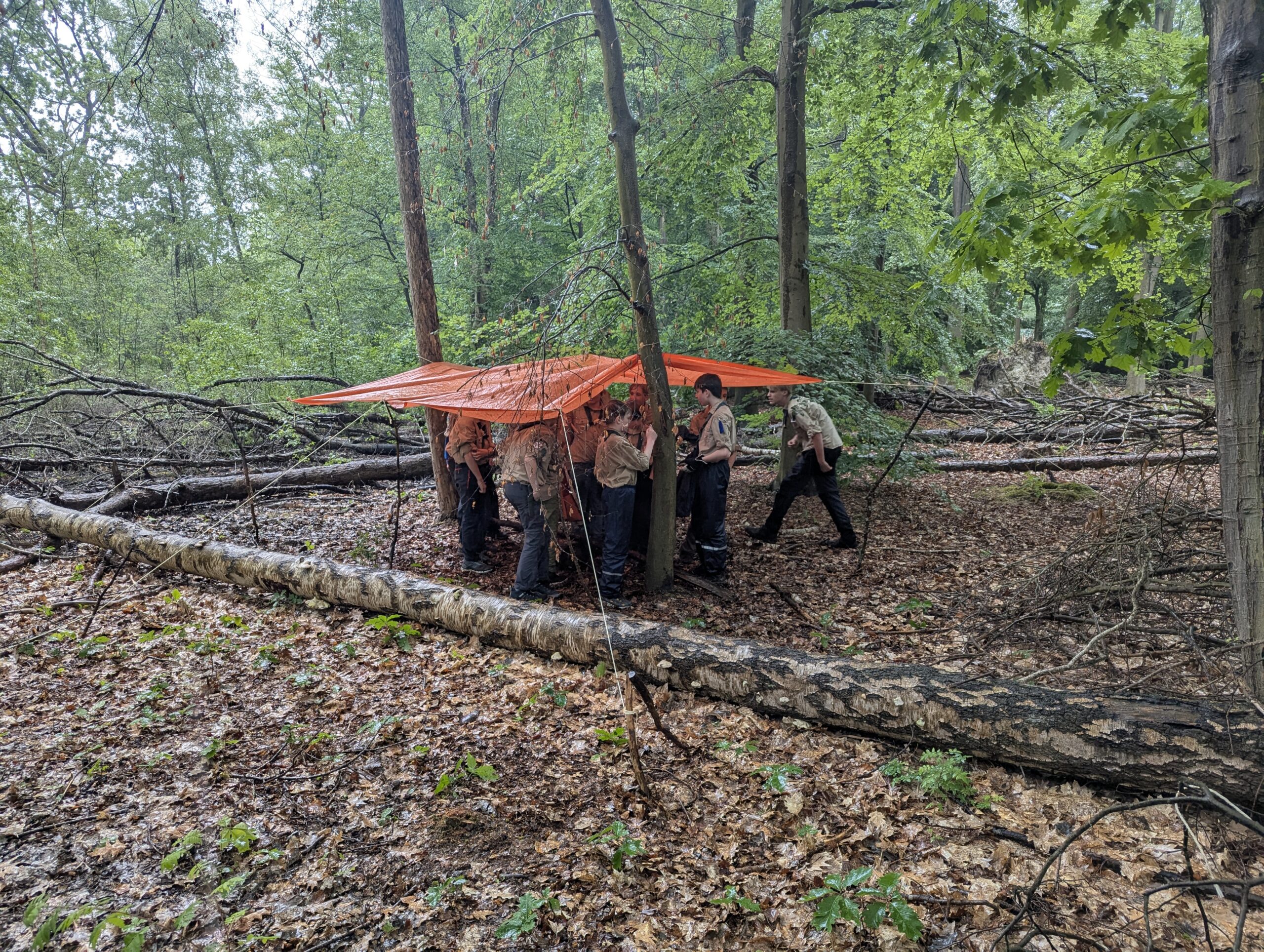 Droog in de regen