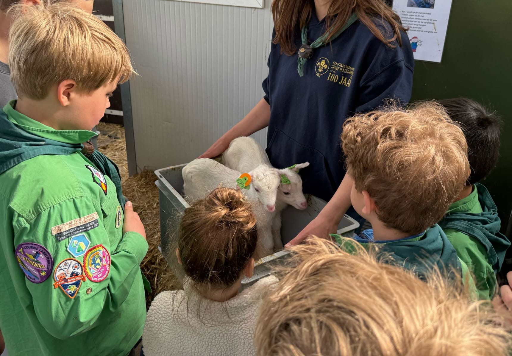 Met de welpen naar de geitenboerderij