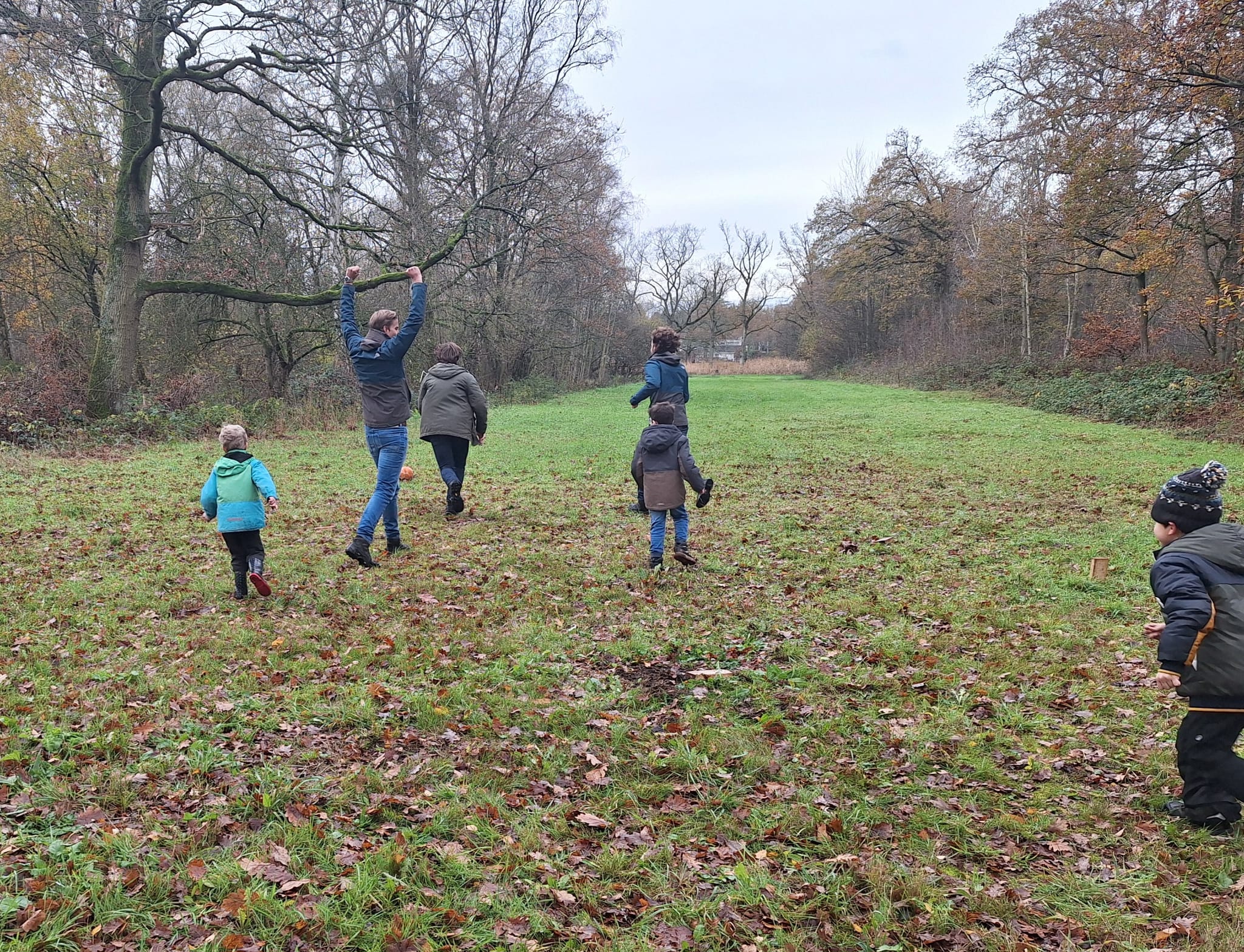 Dobbelend door het bos