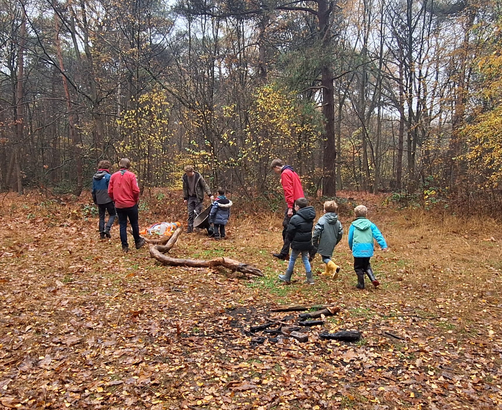 Kwartetten met chocolademelk